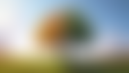 Corretor de seguros não é tudo igual. Você sabe diferenciar um do outro?