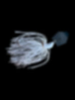 Thumbnail: Wiggle Ripper