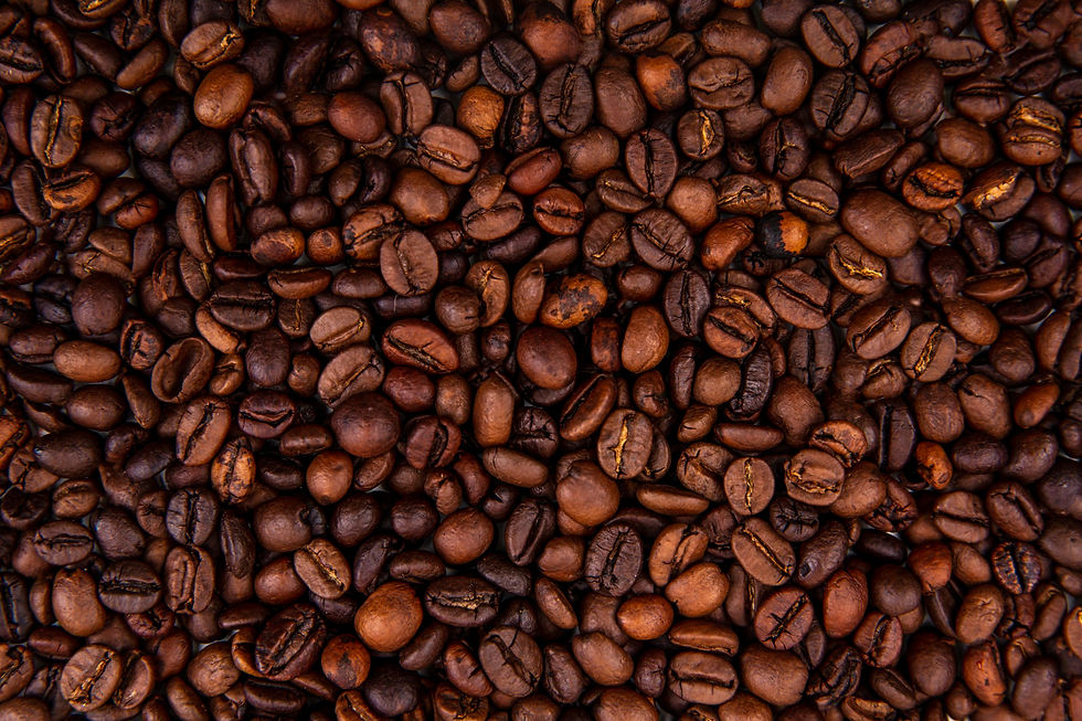 Website BG 02.jpg
