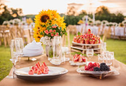 AdobeStock_302343078_edited