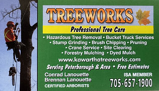 2026 Treeworks.jpg