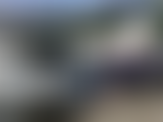 Fly Katmai and day trip bear viewing