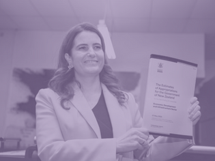 Explainer | The 2025 Budget in a Nutshell