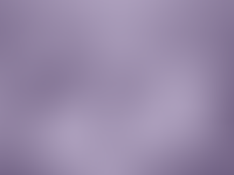 Explainer | The 2025 Budget in a Nutshell