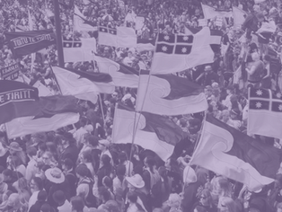 Opinion | Reading Between the Lines of the Treaty Principles Bill