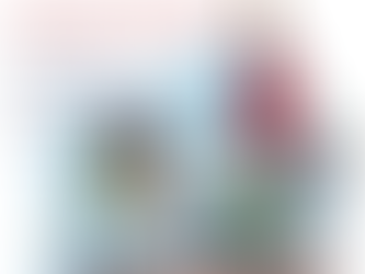 Kom in de Sint-stemming!