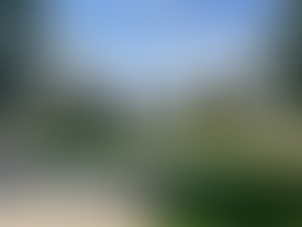 College Diaries #1: transferred!