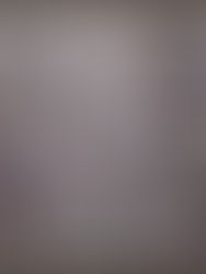 A time for new beginnings: starting my blog