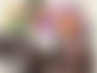 College Diaries #2: sophomore year recap