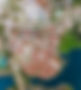 Smaller Adriatica Drone Photo for Web.jpg