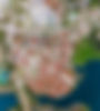 Smaller Adriatica Drone Photo for Web.jpg