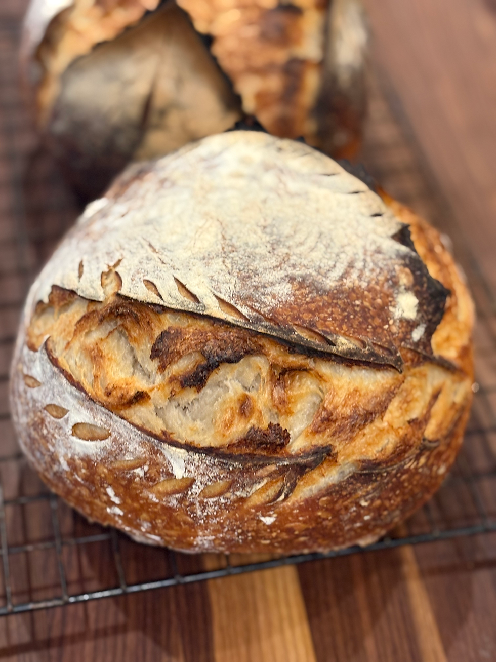 No Knead Basic Sourdough