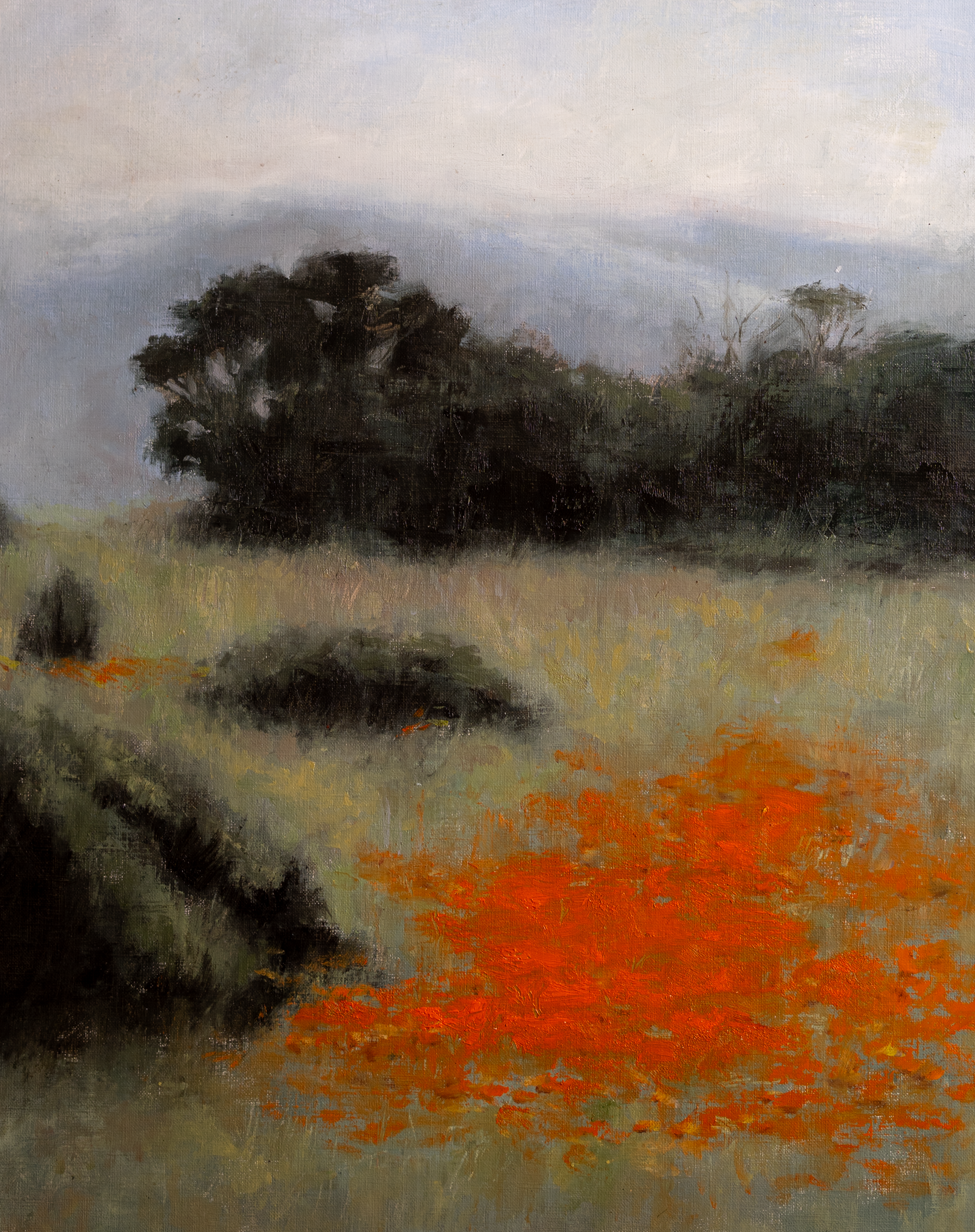 Orange Field - Oil on Canvas Print 