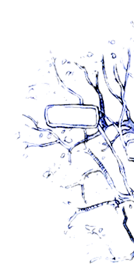 stamboom_zazie_april_c_gratis_edited_edi