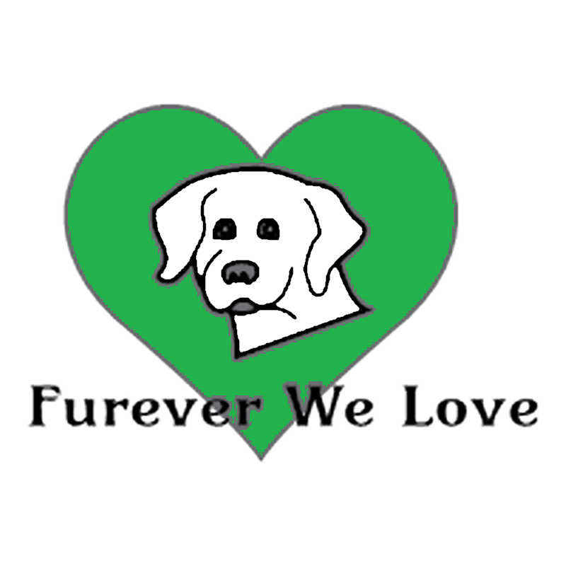 Home Dog Rescue Furever We Love Indiana home-dog-rescue-furever-we-love-indiana