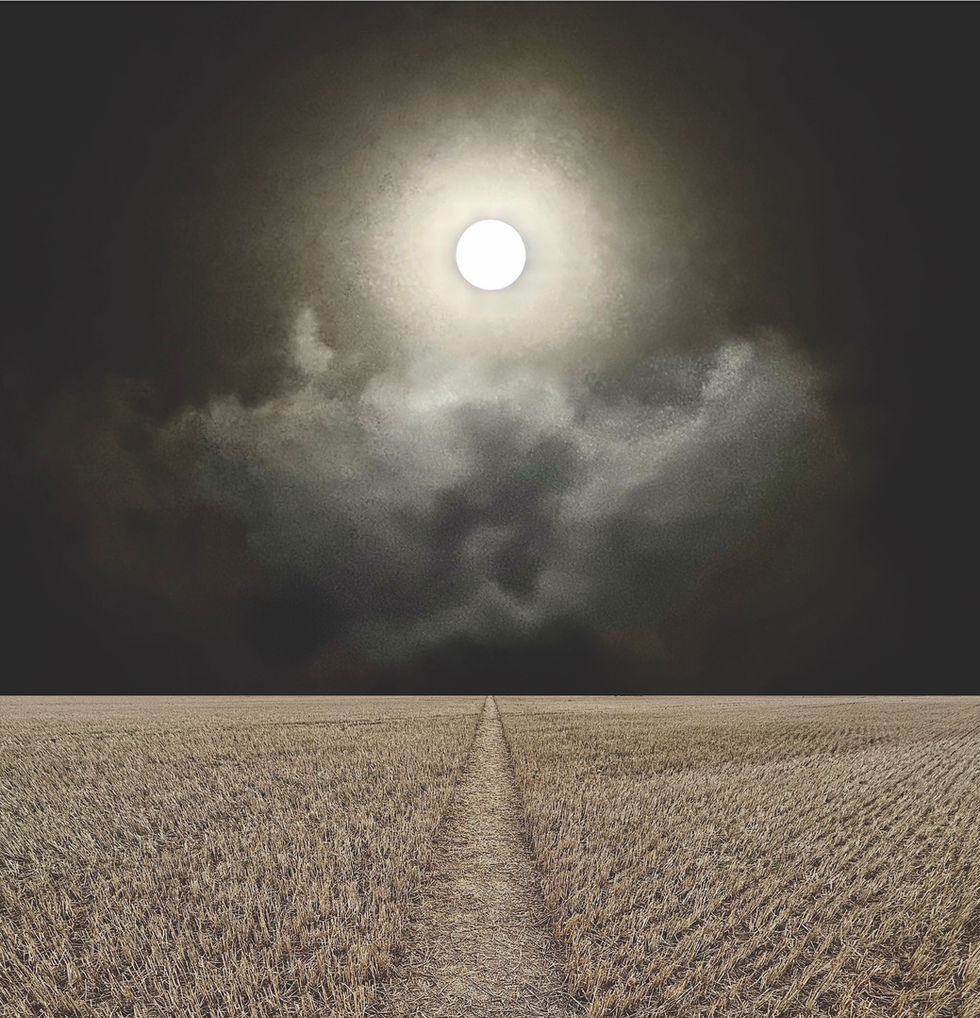 Moon Rise Over Wheat Fields