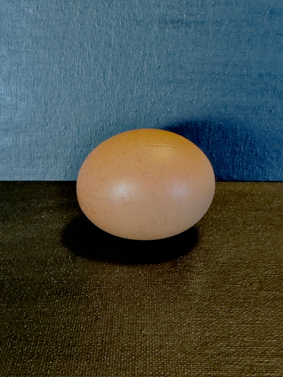 Bad Egg