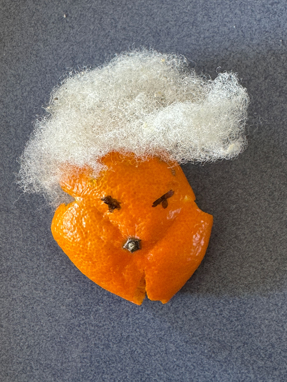 Is He ‘A Bulbous Orange Cognitively Impaired Old Fascistic Sociopath’ or                       ‘A Cognitively Impaired Bulbous Old Orange Fascistic Sociopath?’