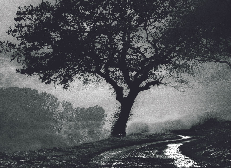 1 tree road clouds b&w 21.75x15.75