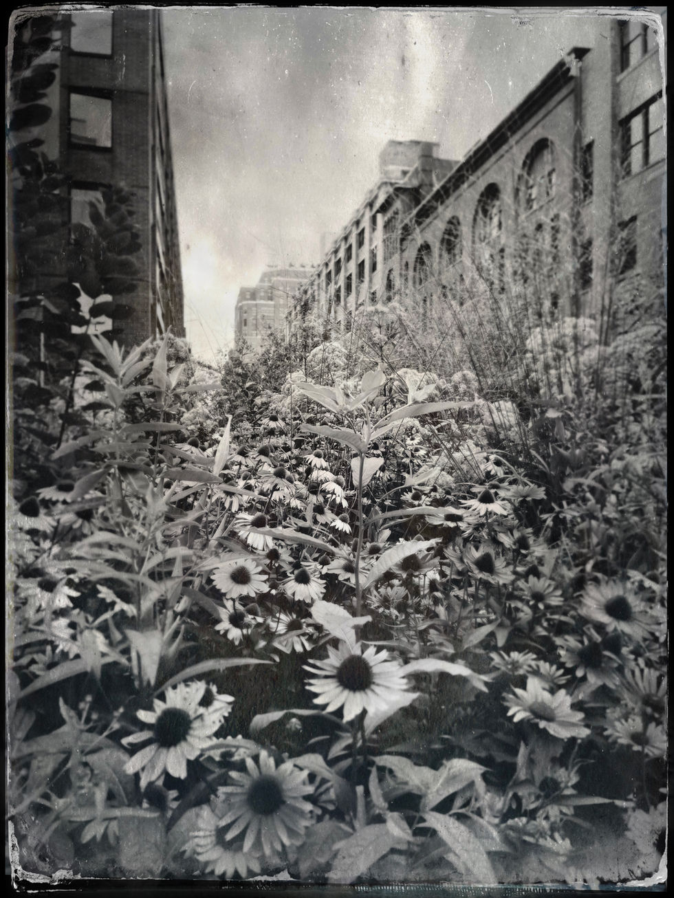 The Highline