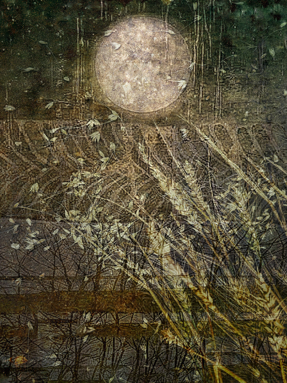 Moon, Wheat, Mistley Walls