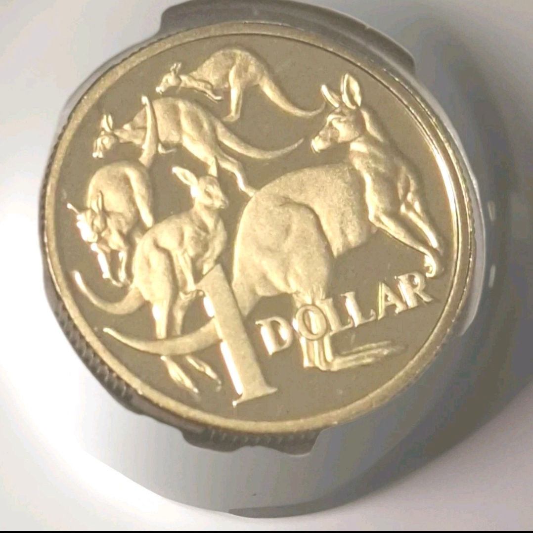 2021 $1 PROOF Mob of Roos $1 Coin ex RAM Proof Set Lowest Mintage Mintage Lt12.