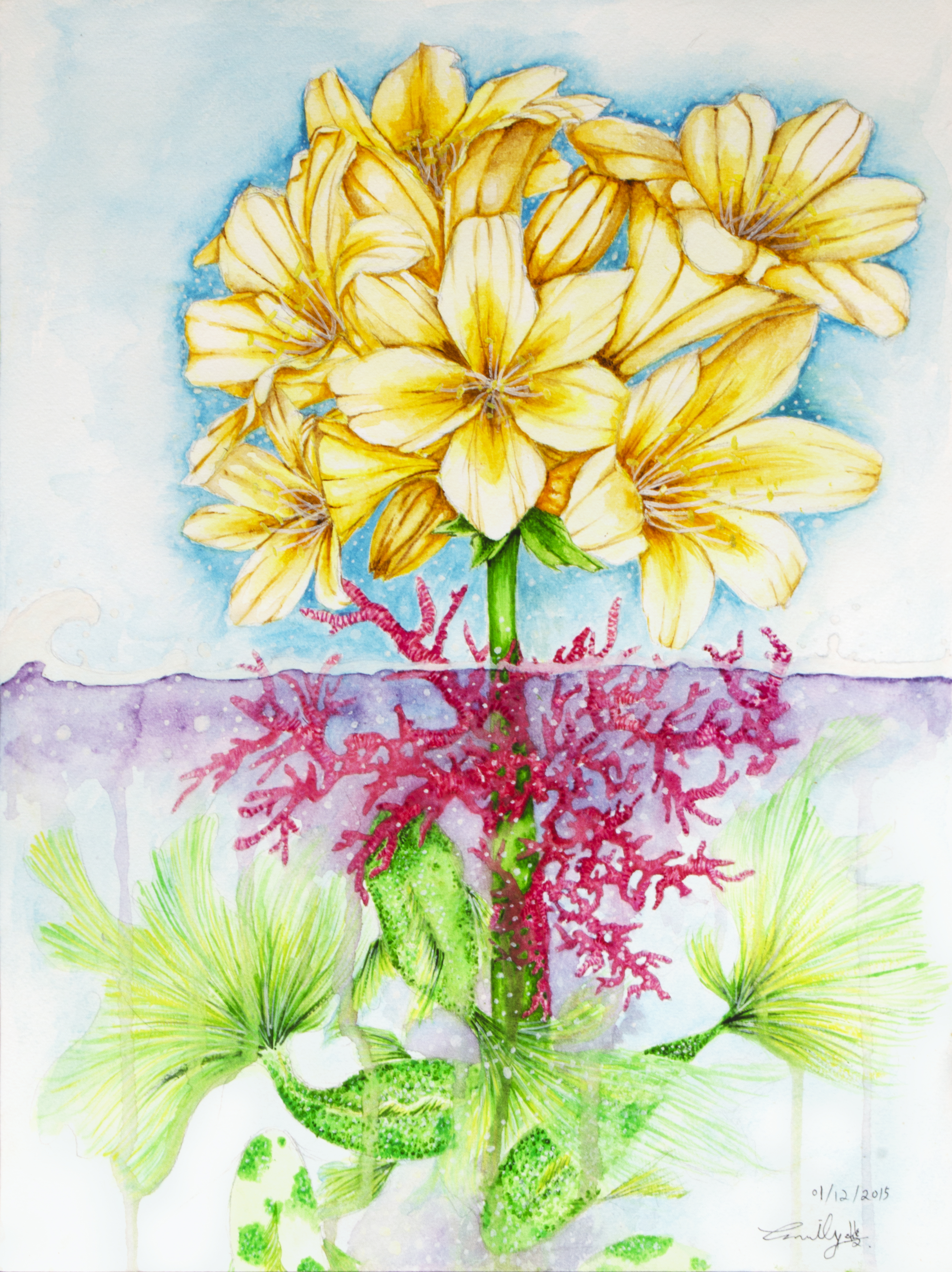 The Flowers