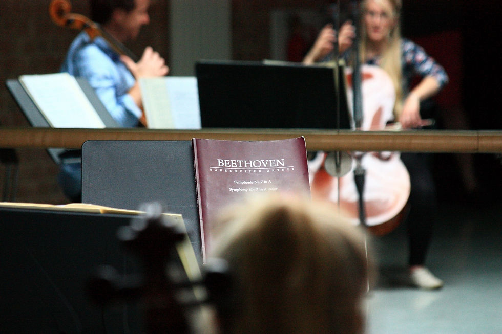 YYS - cello reflection.jpg