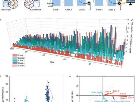 Dr. Yongzhe Chen’s recent publication on Nature Communication