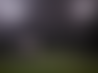 What the Beckham Story Tells Us About: 