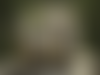 Do Blended Families Work Out Ok? Figuring It Out…