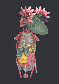 Anatomy 3 A4.jpg
