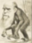 Karikatur von Darwin als Schimpansen