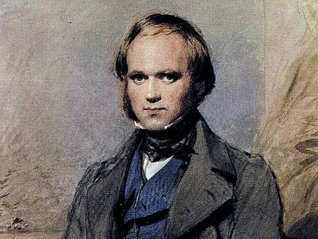 Unintelligentes Design: Entstehung und Bedeutung von Darwins Evolutionstheorie