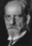 Schwarzweissfoto von Husserl; Spitzbart, Stirnglatze, strenges Professorengesicht