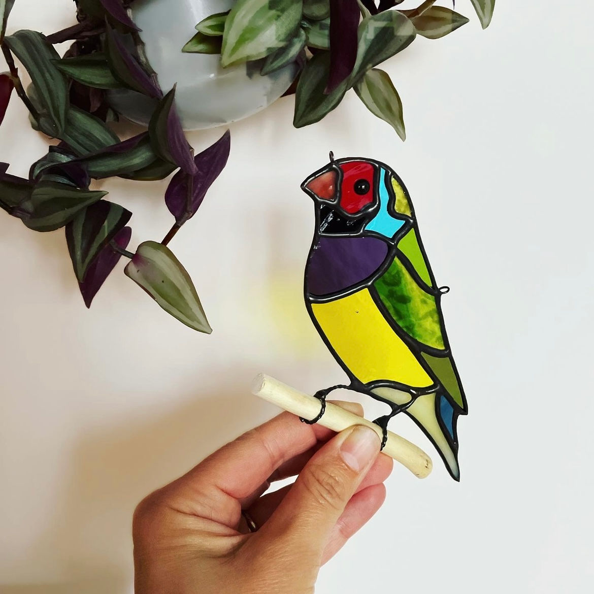 Rodrigo le Diamant de Gould