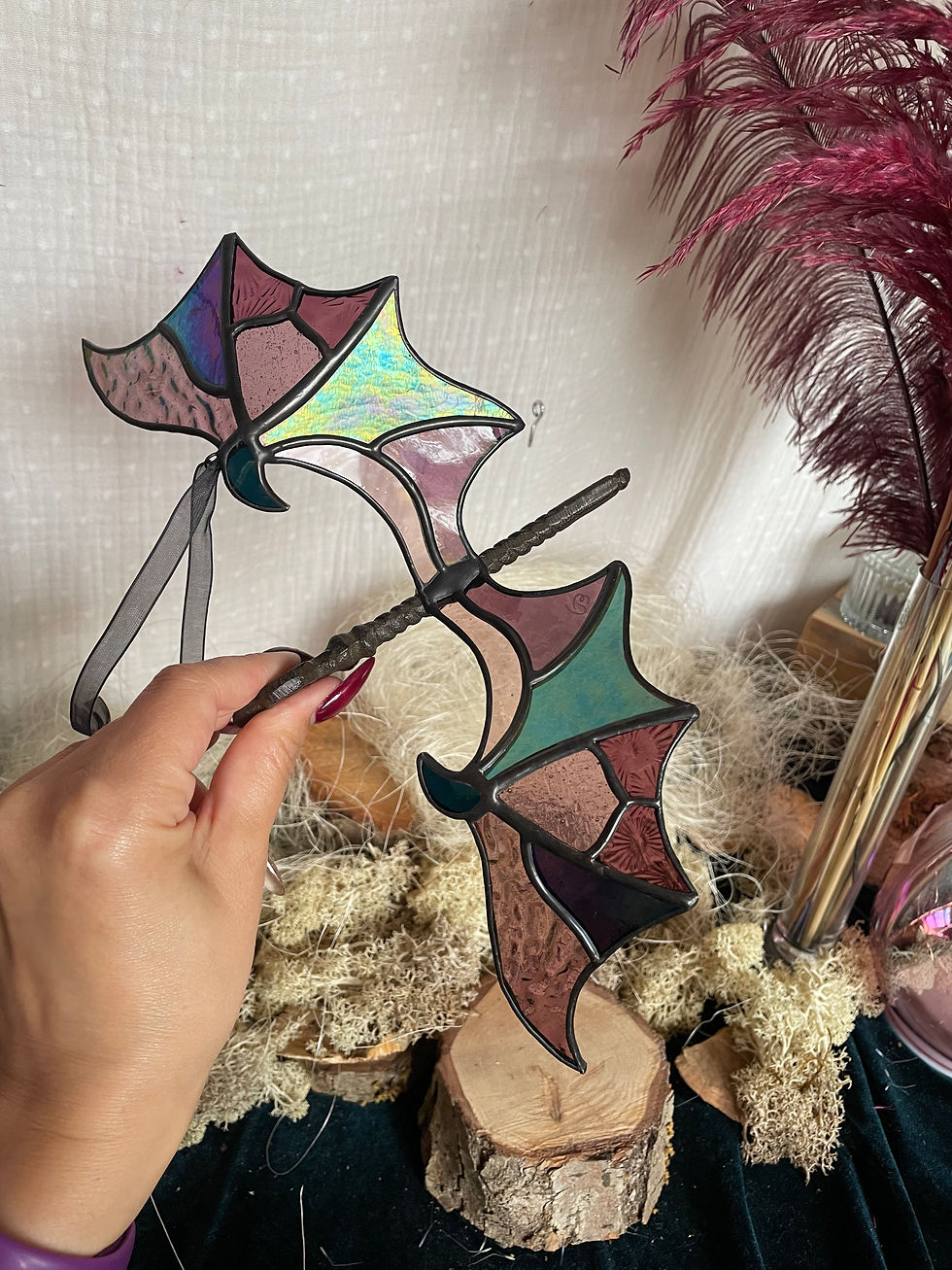 Thumbnail: Dracaëlis