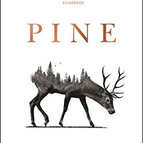 Pine by Francine Toon