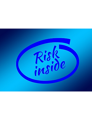 Risk1.PNG