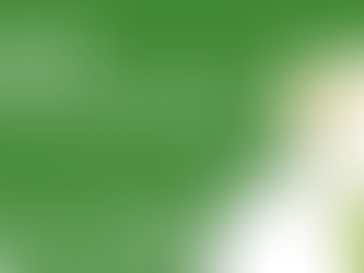 Top 10 Outdoor-Gartenmessen in Deutschland 2025: Trends, Highlights & Kaufratgeber