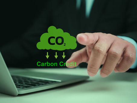 Nachhaltigkeit im Gartenbau: Pflicht oder Chance? Ein Blick hinter die Kulissen bei Hongmao Garden