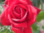 Loving Memory