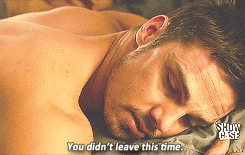 Vincent & Catherine [2.16 ALN] (2).gif