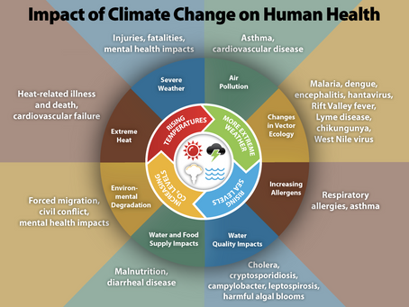 Impact of Climate Change on Respiratory Health