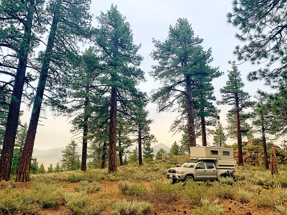 Dispersed Camping