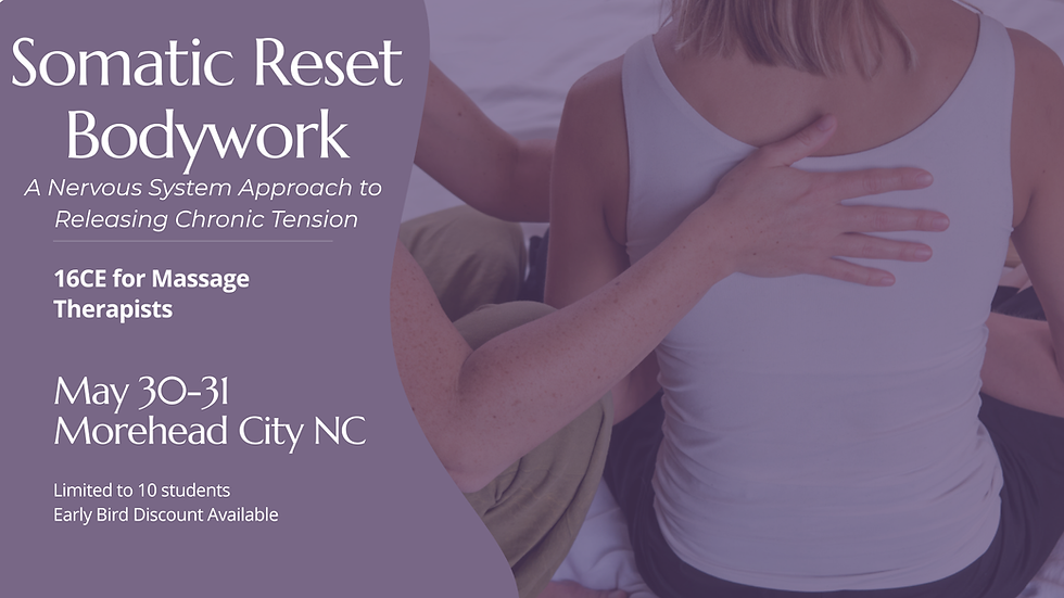 Somatic Reset Bodywork 16CE