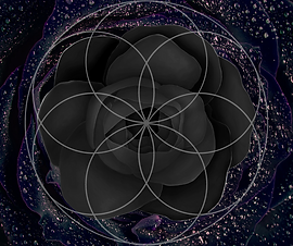Black Rose Crystal Grid.png