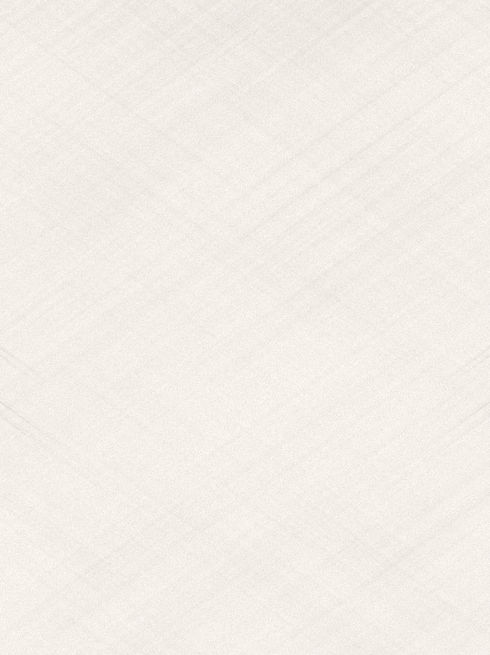 —Pngtree—full light textured paper background_972439.jpg