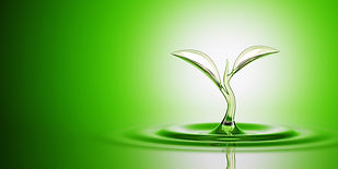 Water-Sprout-Splash-957831924_841x421.jp