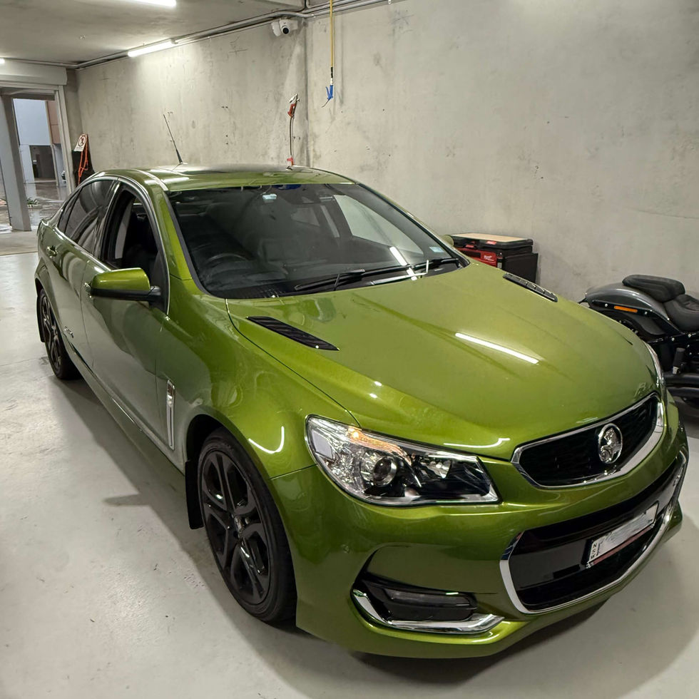 vf commodore ghost immobiliser for hsv

